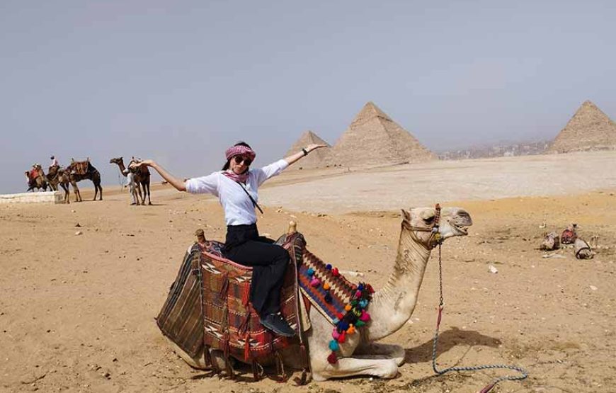 Tour de El Cairo a Abu Simbel por una carretera, Luxor y Asuán 8 Días