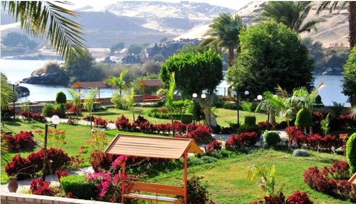 The Botanical Garden