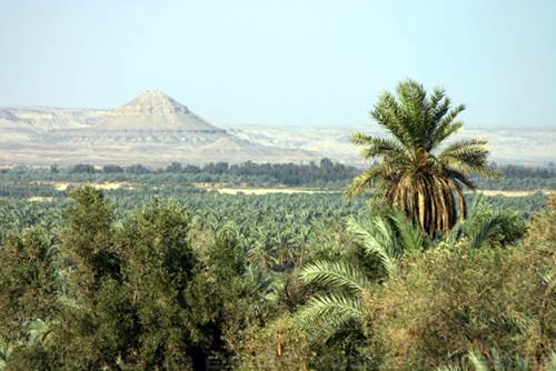 Bahariya Deserto,Egitto,Bahariya Oasis,Gebel Maghrafa