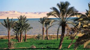 Lake Qarun