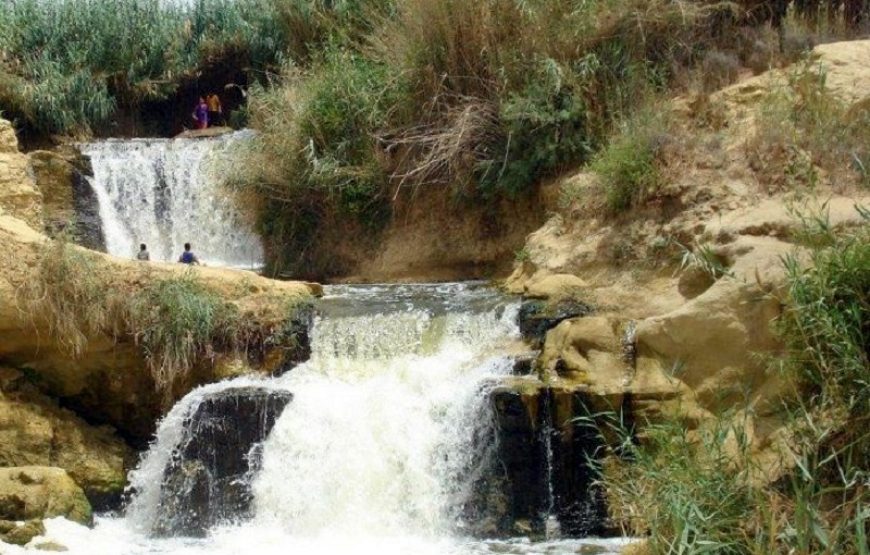 Tour en El Fayoum y Wadi El Rayan desde El Cairo un Día