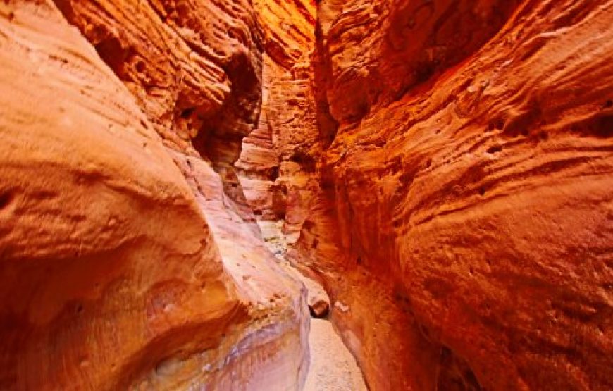 Safari al Cañón Colorado en Nuweiba desde Taba un Día Tour