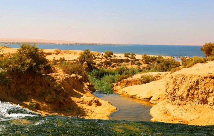 Tour de un día de El Cairo a El Fayoum – Explora los tesoros de Egipto en una aventura de un solo día