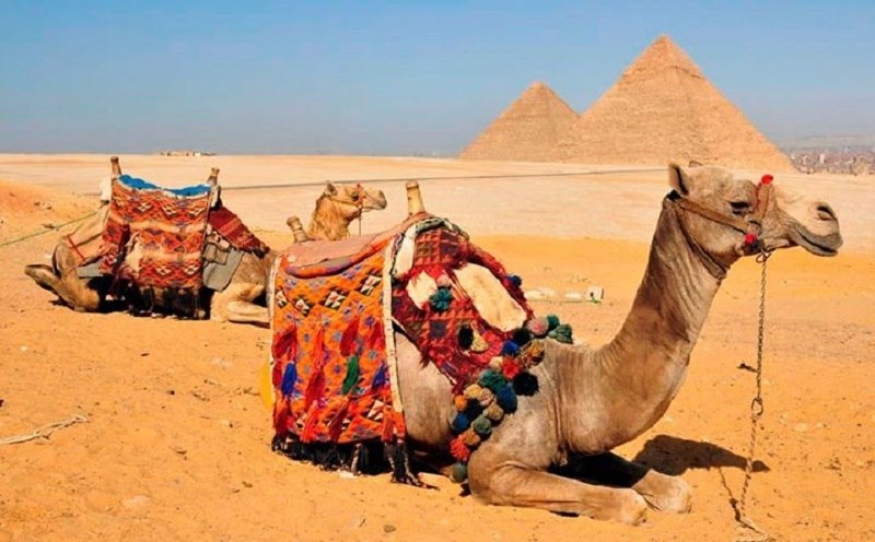 Cairo, Pyramids & Hurghada Snorkeling Tour 8 days | Tour Egypt Club