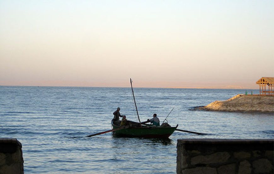 Tour de un día de El Cairo a El Fayoum – Explora los tesoros de Egipto en una aventura de un solo día