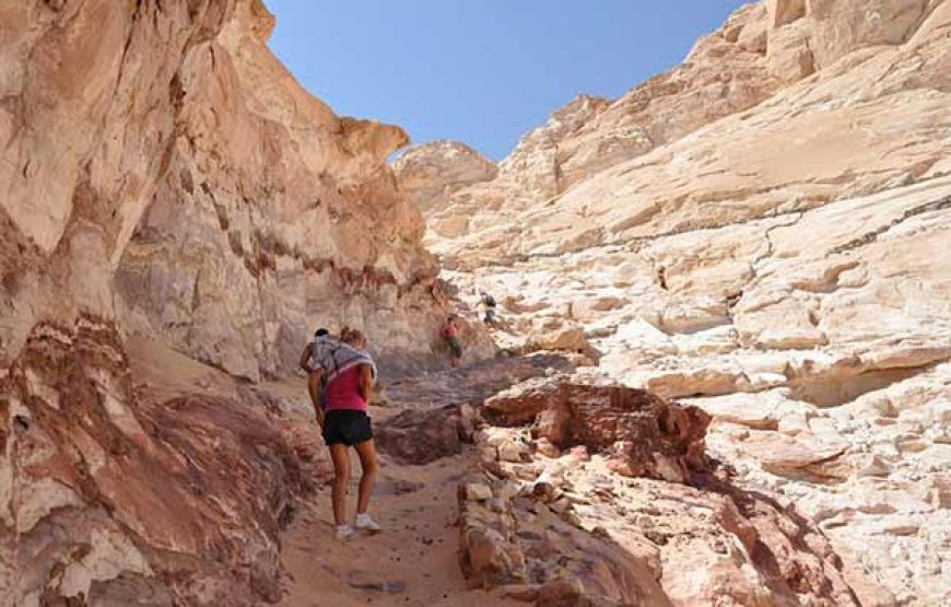 Tour a Santa Catalina y safari a Cañón de Colorado Desde Sharm