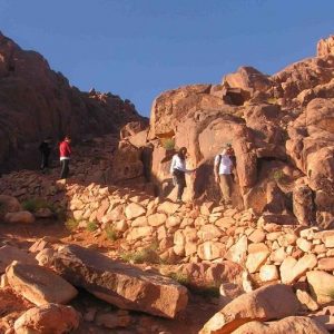 Excursión de un día desde El Cairo