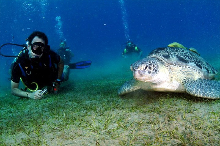 Mar rosso,Hurghada,Egitto