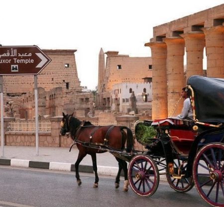 Cairo y Luxor para mayores