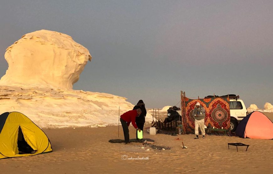 Camping dans le désert blanc et safari dans l’oasis de Bahariya pendant 2 jours