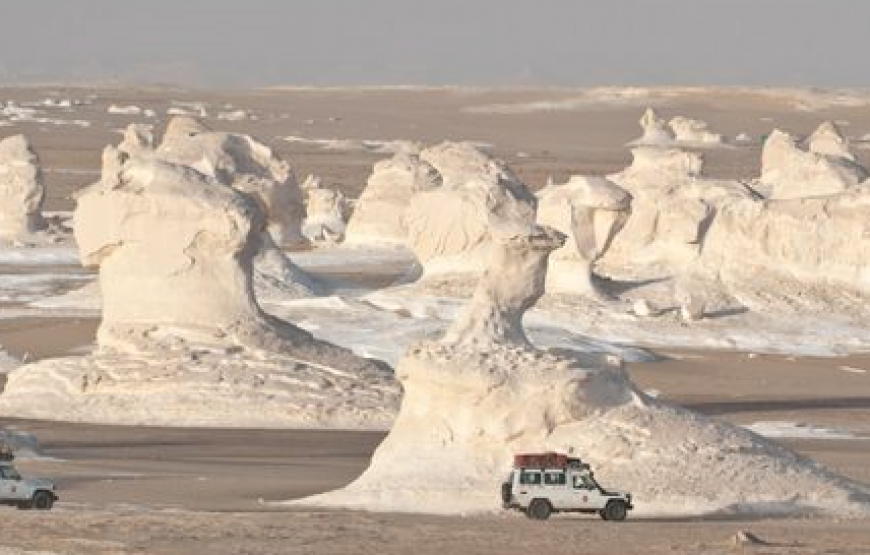 Camping dans le désert blanc et safari dans l’oasis de Bahariya pendant 2 jours