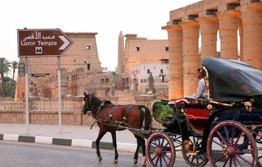 Tour en Luxor desde El Puerto de Safaga