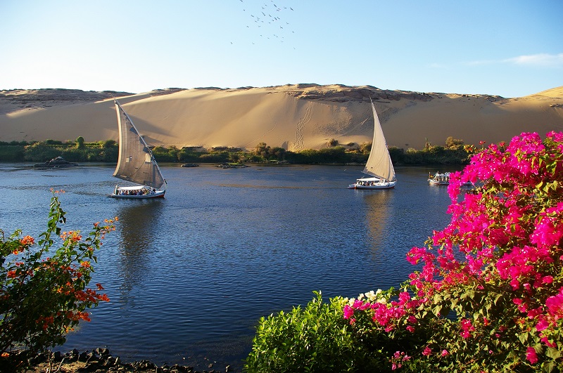 Aswan Città,Tempio di Philae,Tempio di Abu Simble,Egitto