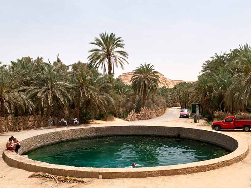 Visite Siwa en Egypte,Siwa est une oasis de vie,Tour du Caire vers Siwa