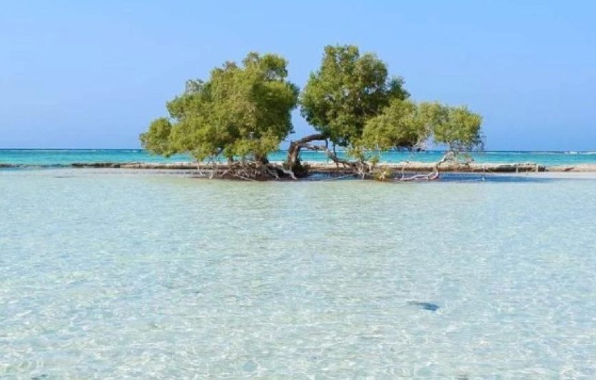 El Luli spiaggia e Zona Qalaan 2 belli giri